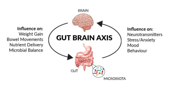 gut-brain-axis