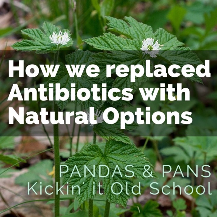 Replacing Antibiotics with Natural Options